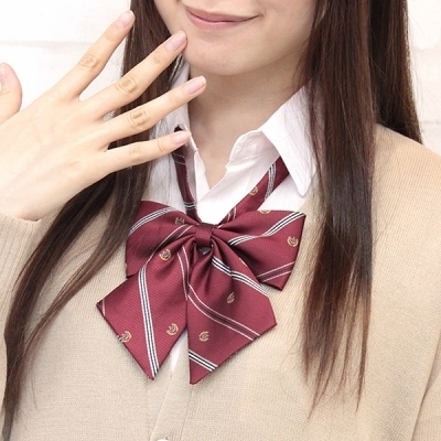 �X�N�[�����{���P�i�@���