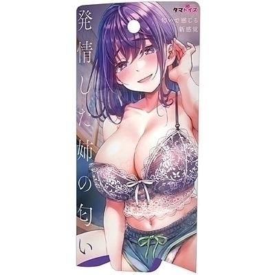 ������o�̓���