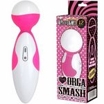 �s���L�[�I���K�X�}�b�V��(�o�C�u���[�^�[)