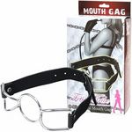 �e�����������@�s���������@�i�I�[�����O���^���}�E�X�M���O�j(�r�l�O�b�Y�E�S����)