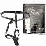 ���r�l�@�u�h�o�������o�C�u�S���z���_�[�@���[�o�b�N�t��(�r�l�O�b�Y�E�S����)