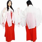 �ޏ�����i�H�D�t�j(�ߑ��E�R�X�`���[��)