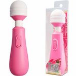 �c���������i�h���C�u�j�@�s���N(�o�C�u���[�^�[)